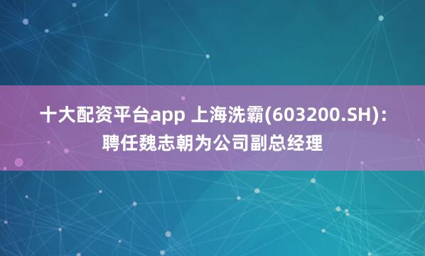 十大配资平台app 上海洗霸(603200.SH)：聘任魏志朝为公司副总经理